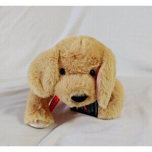 Two Blind Brothers Guide Dog  Braille Golden Lab Plush NEW 16"